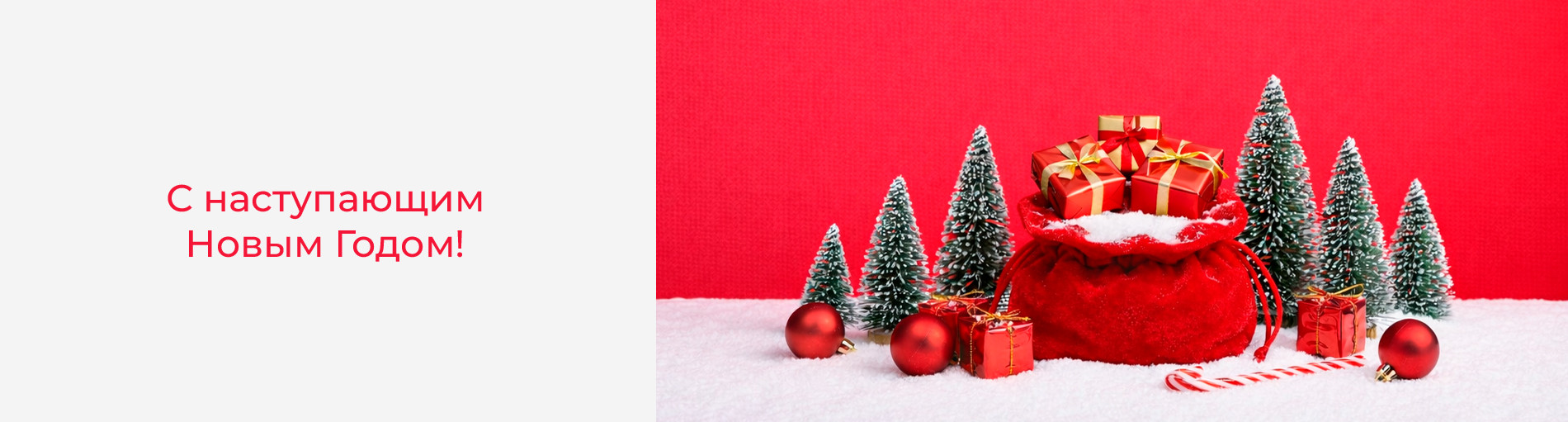 Поздравляем Вас с наступающим Новым 2026 годом!