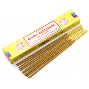 Satya Divine Blessings Incense Благовоние 15г