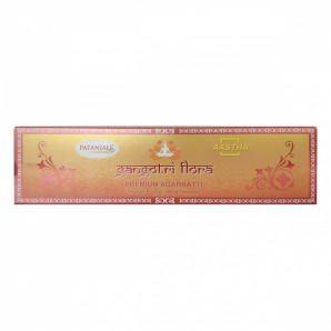 Flora Благовоние Ганготри PATANJALI Aastha Premium Agarbatti Gangotri 20pcs