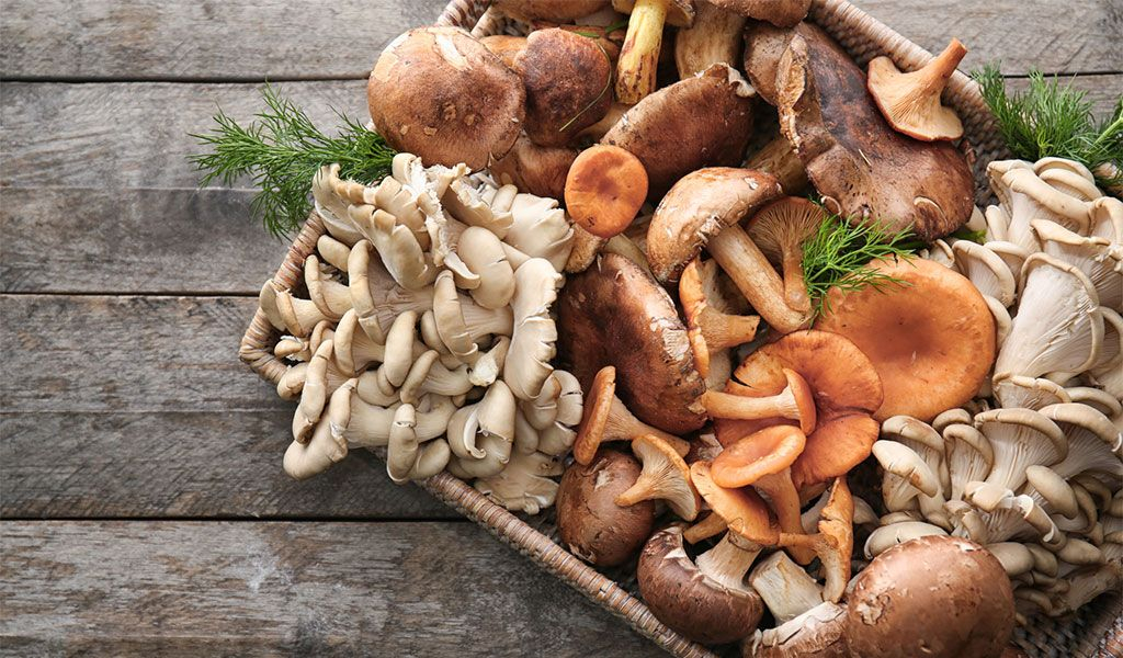 Продукты, повышающие иммунитет: как их включить в рацион