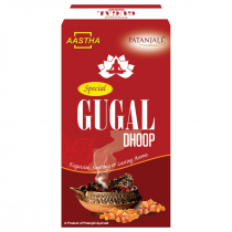 PATANJALI Aastha Special Gugal Dhoop  Благовония мягкие Дхуп Гугал 10шт